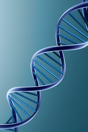 Seguro que más de una vez has oído hablar del ADN 