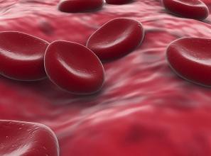 ¿Sabías que tienes entre 1 y 3 litros de sangre que recorren sin parar todos los rincones de tu cuerpo?