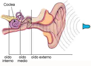 Los sonidos inundan el mundo en el que vives 