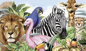 Seguro que conoces muchas clases de animales 