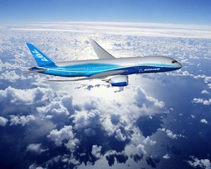 ¿Has viajado en avión alguna vez?