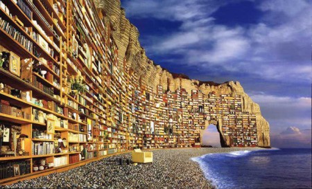 En una biblioteca puedes encontrar libros de todo tipo y sobre cualquier materia. 