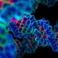 ¿Por qué te pareces a tus padres, a tus hermanos o a tus primos?