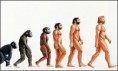 ¿Sabías que hasta hace apenas doscientos años casi todo el mundo creía que los seres humanos aparecieron en la Tierra tal y como somos en la actualidad?