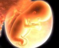 Durante miles y miles de años la especie humana ha poblado la Tierra