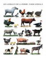 ¿Qué tienen en común un murciélago, un gato, un canguro, un caballo, una jirafa y tú mismo? 